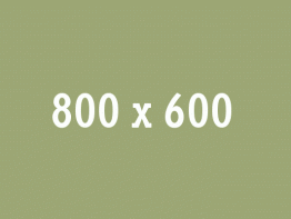 Page : Image Hover Effects