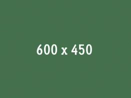 Page : Image Hover Effects