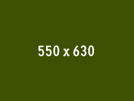 Page : Image Hover Effects