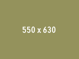 Page : Image Hover Effects