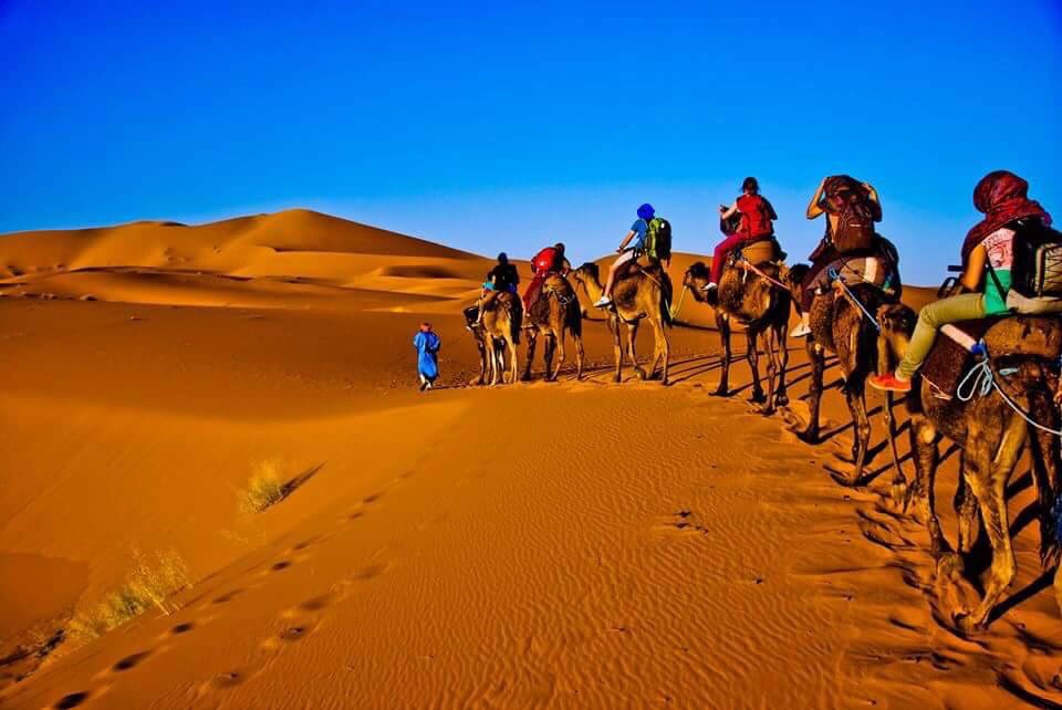 Jour 2 : Vallée des Roses - Gorges Dades et Todra - Erfoud - Merzouga 